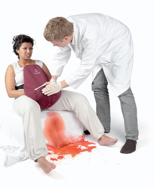 Illustration for article titled Childbirth Simulator definitely educational, mostly horrifying